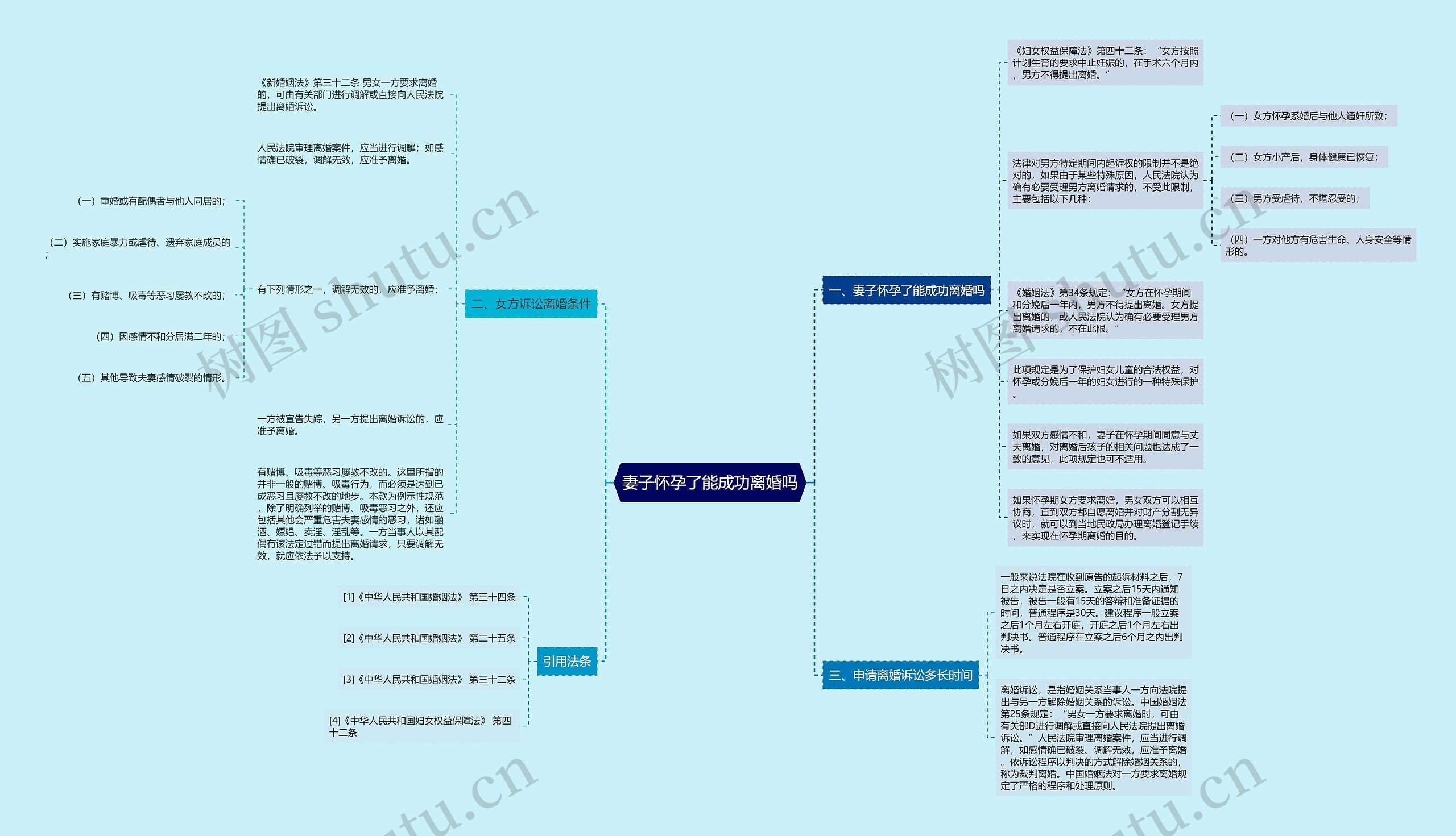 妻子怀孕了能成功离婚吗思维导图