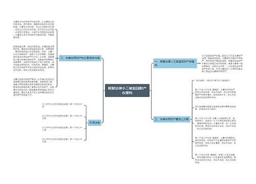 根据法律小三被追回财产合理吗