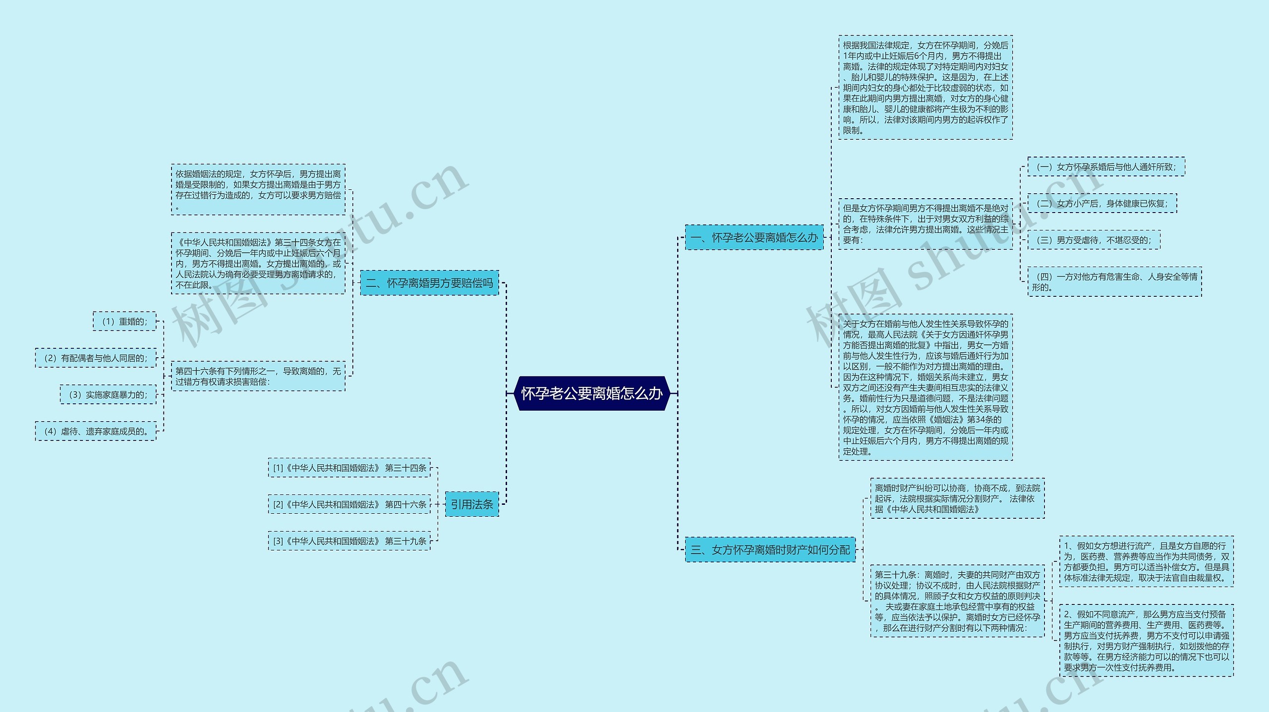 怀孕老公要离婚怎么办思维导图