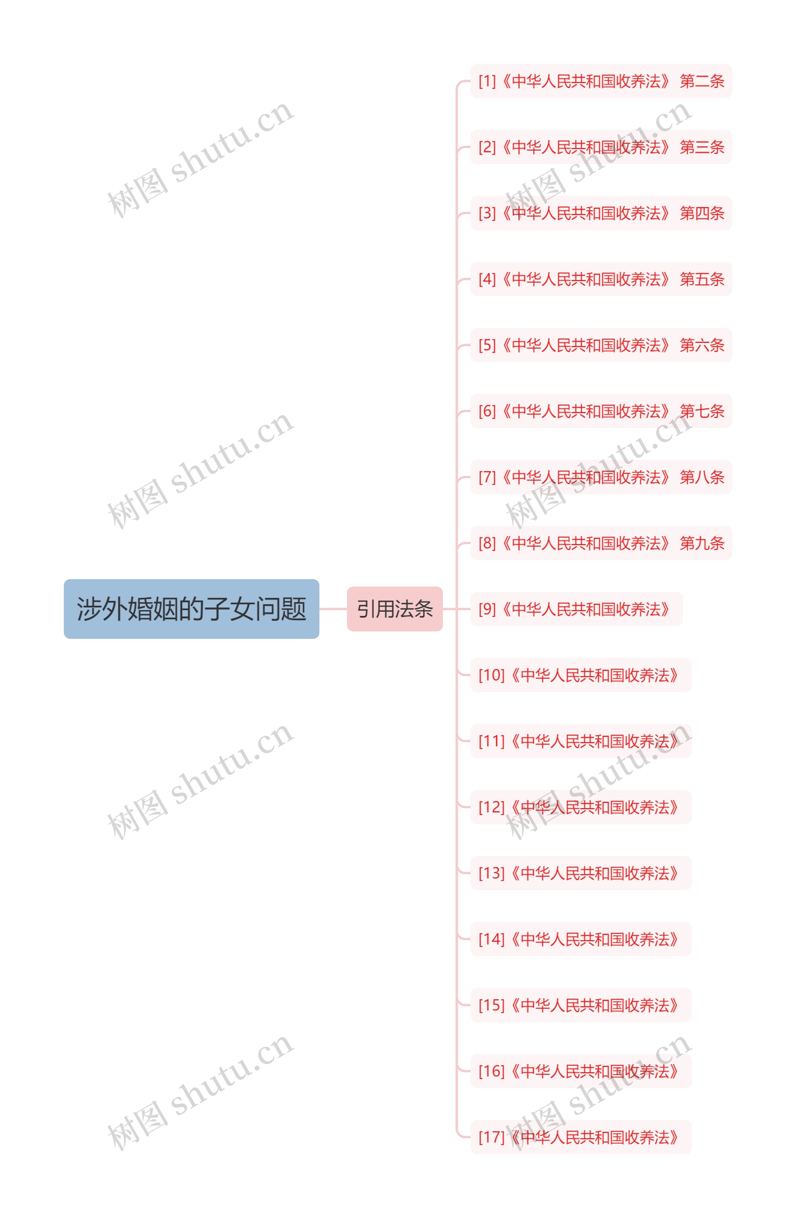 涉外婚姻的子女问题思维导图