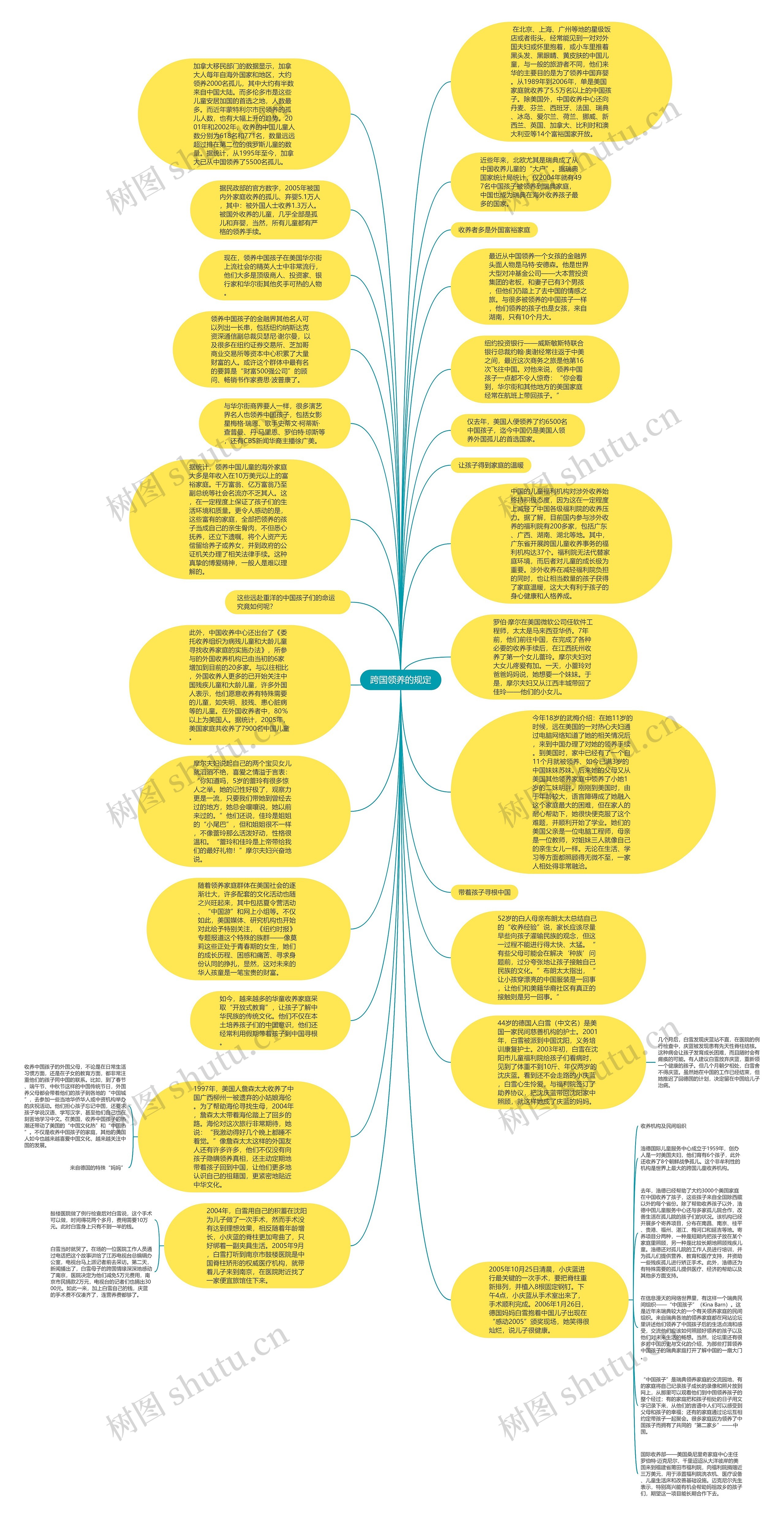 跨国领养的规定思维导图