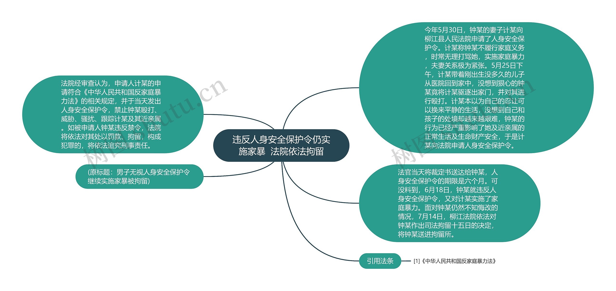 违反人身安全保护令仍实施家暴  法院依法拘留思维导图