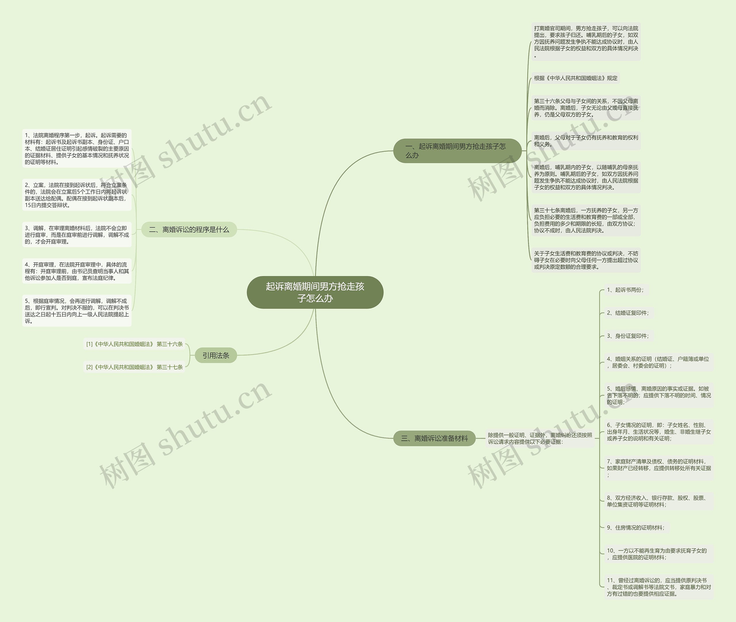起诉离婚期间男方抢走孩子怎么办思维导图