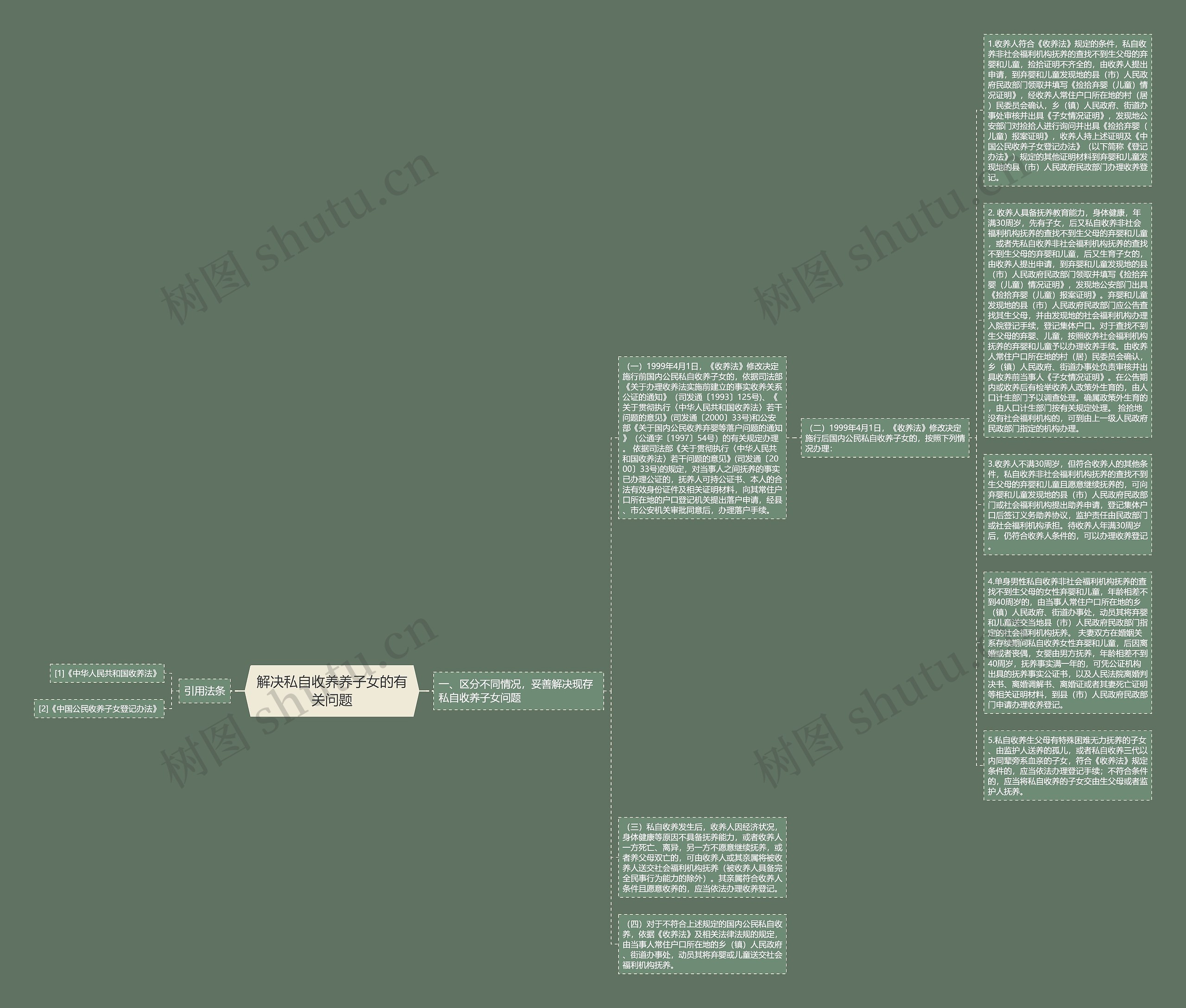 解决私自收养养子女的有关问题思维导图
