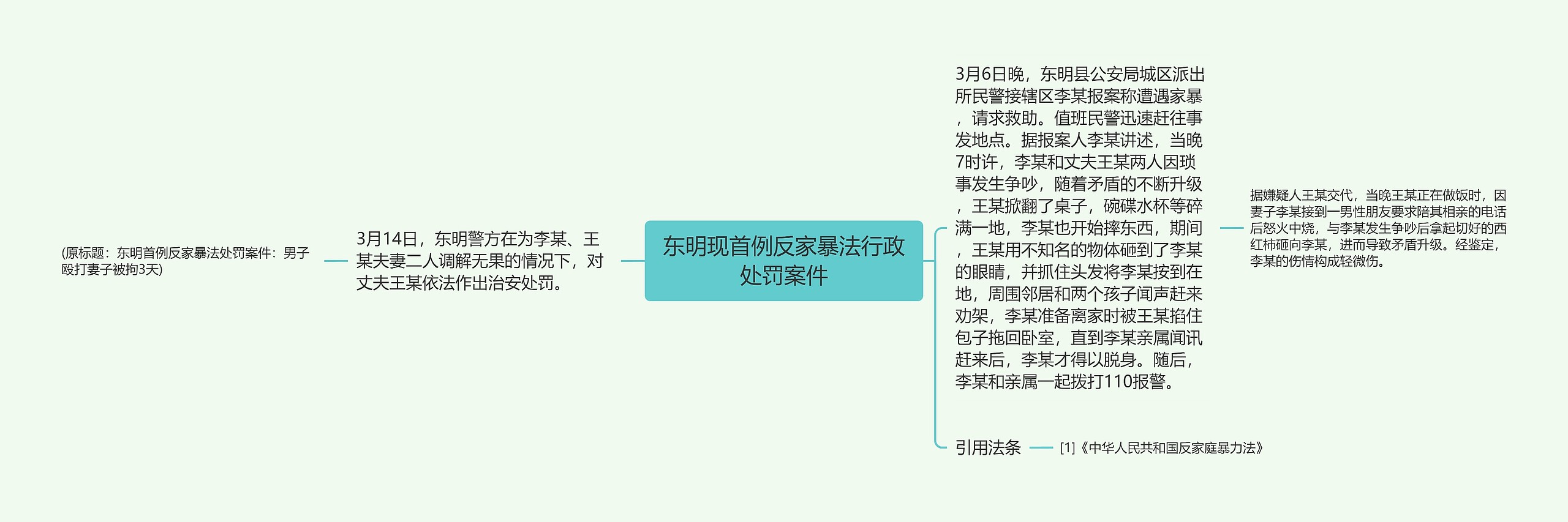 东明现首例反家暴法行政处罚案件思维导图