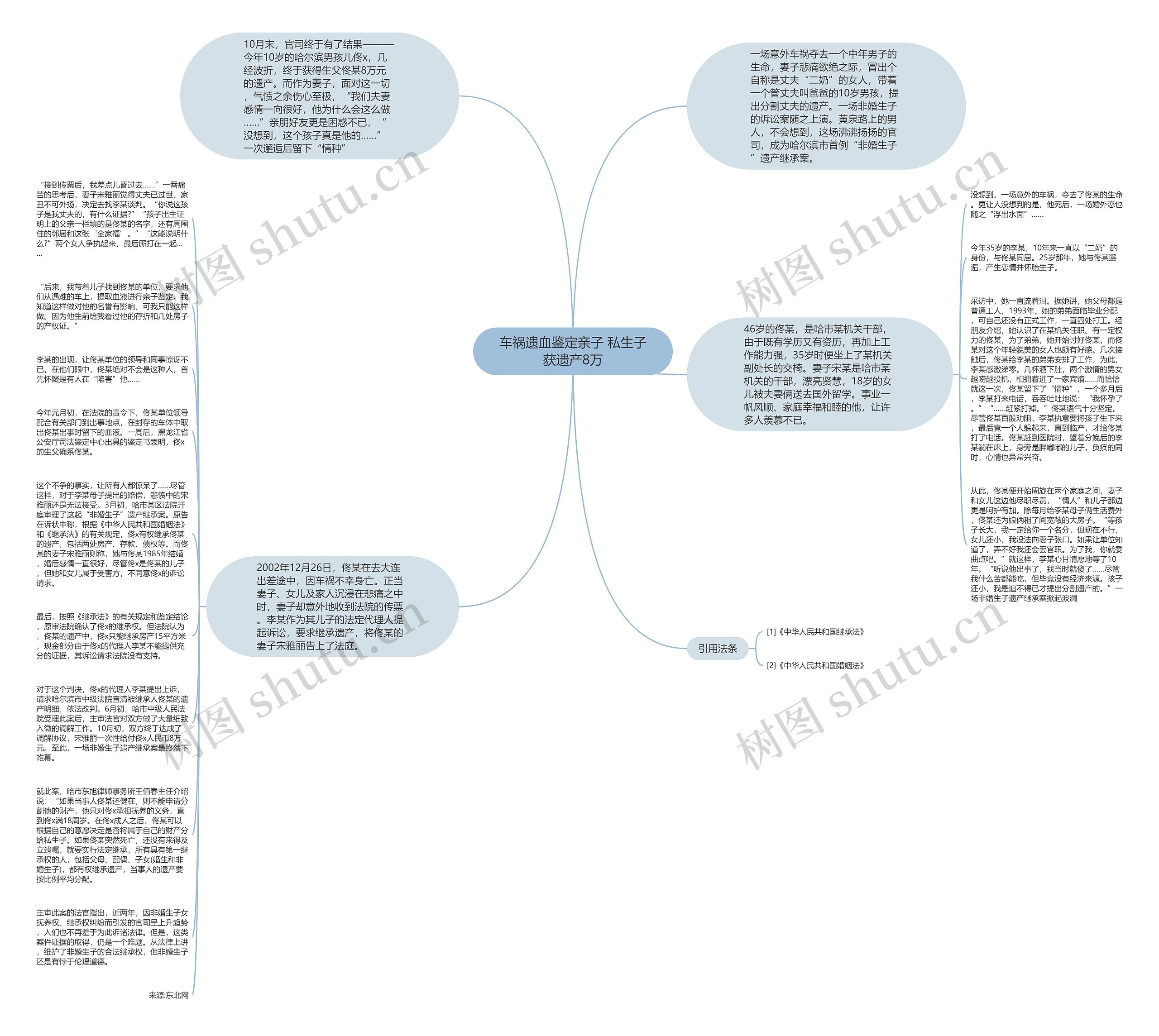 车祸遗血鉴定亲子 私生子获遗产8万思维导图