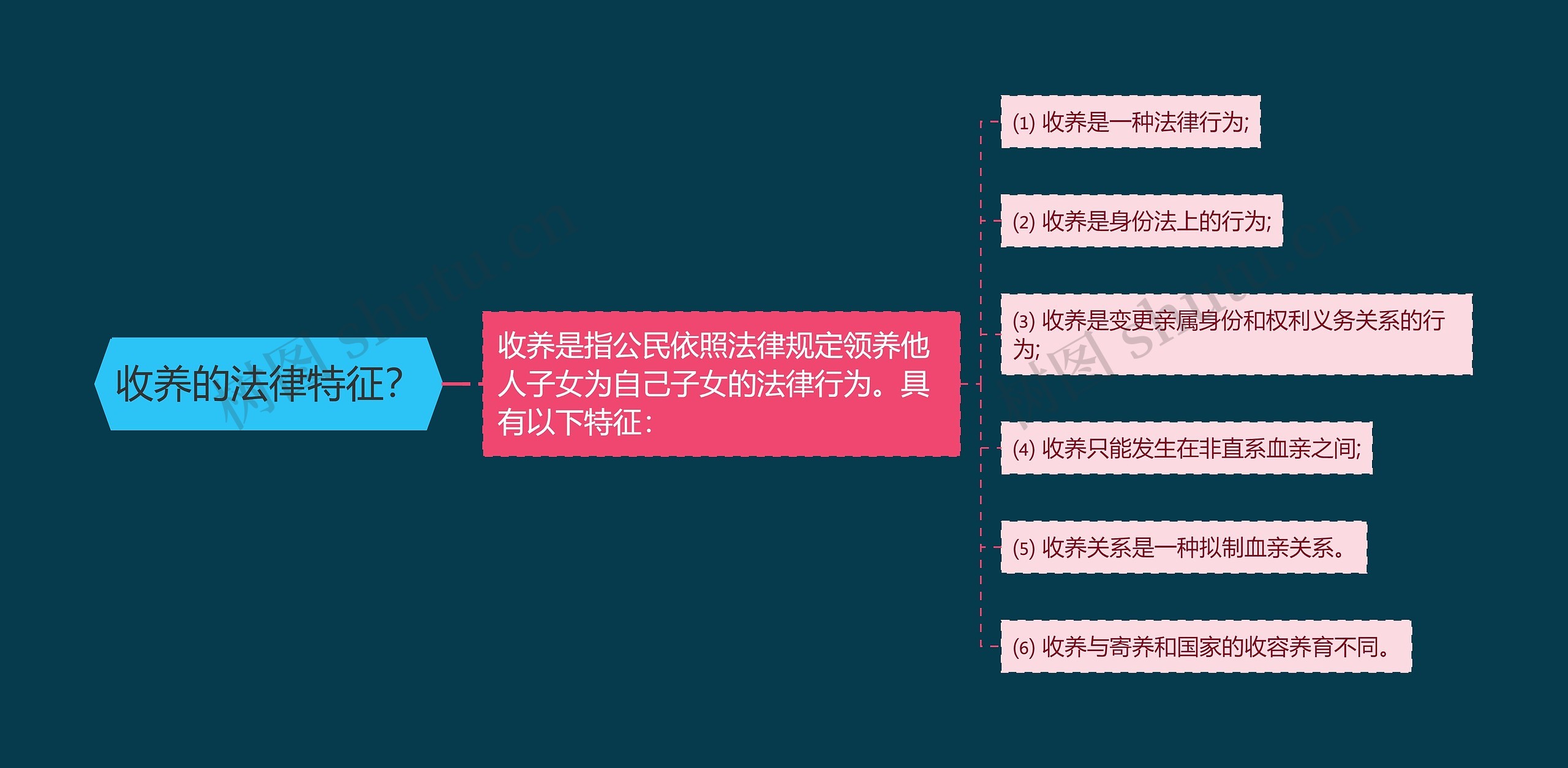 收养的法律特征？