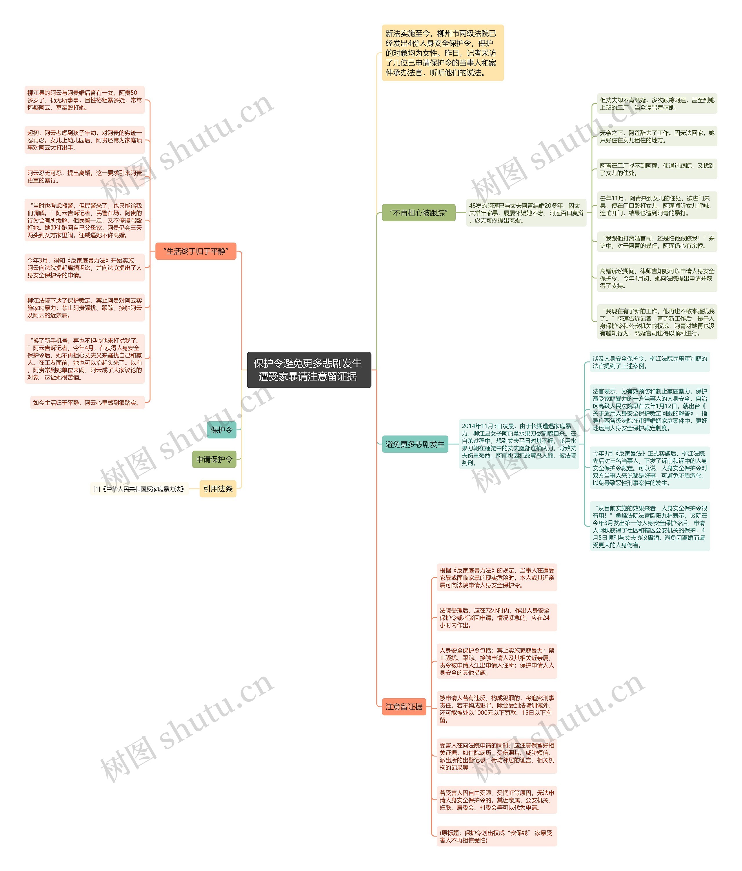 保护令避免更多悲剧发生 遭受家暴请注意留证据 思维导图