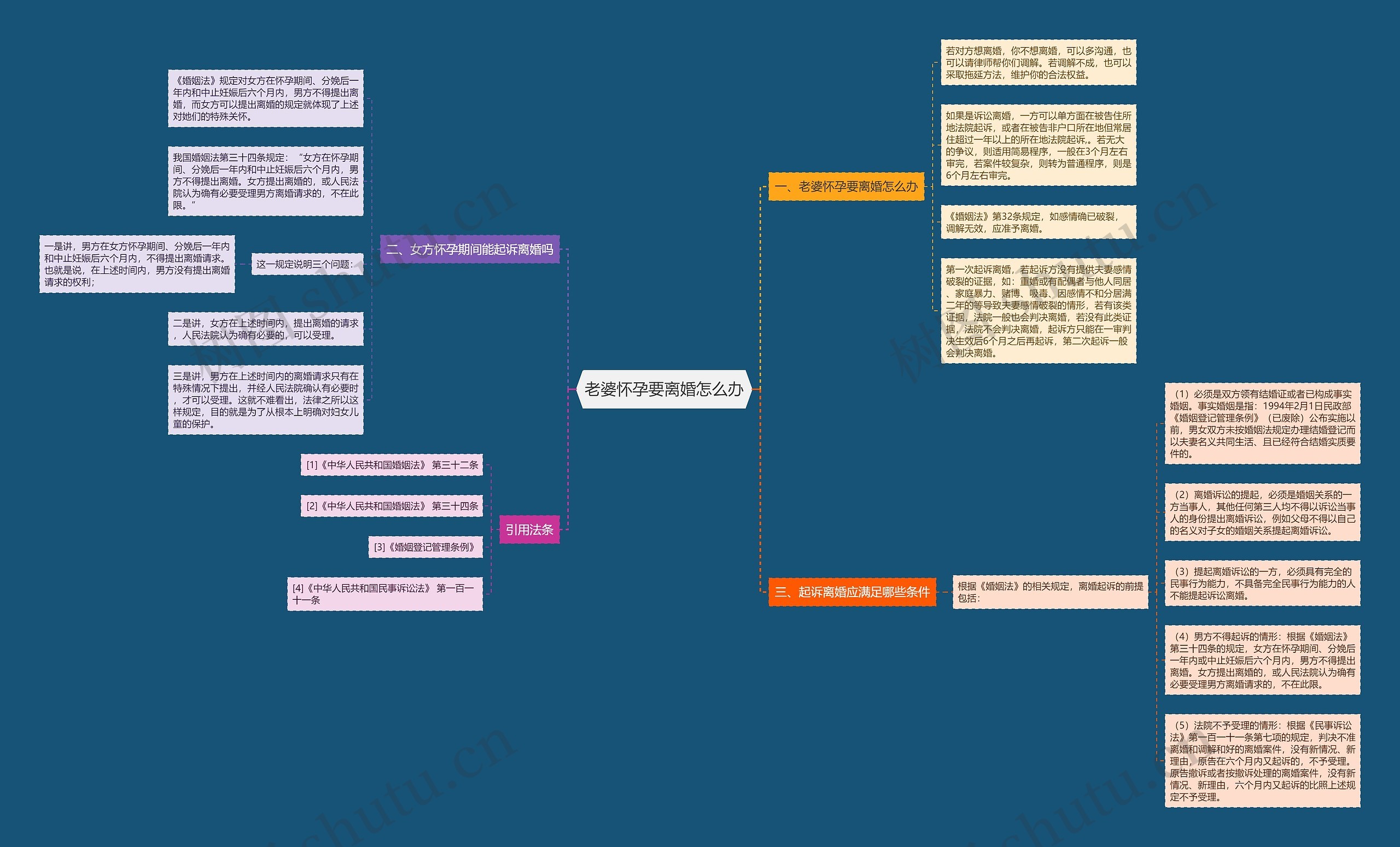 老婆怀孕要离婚怎么办思维导图