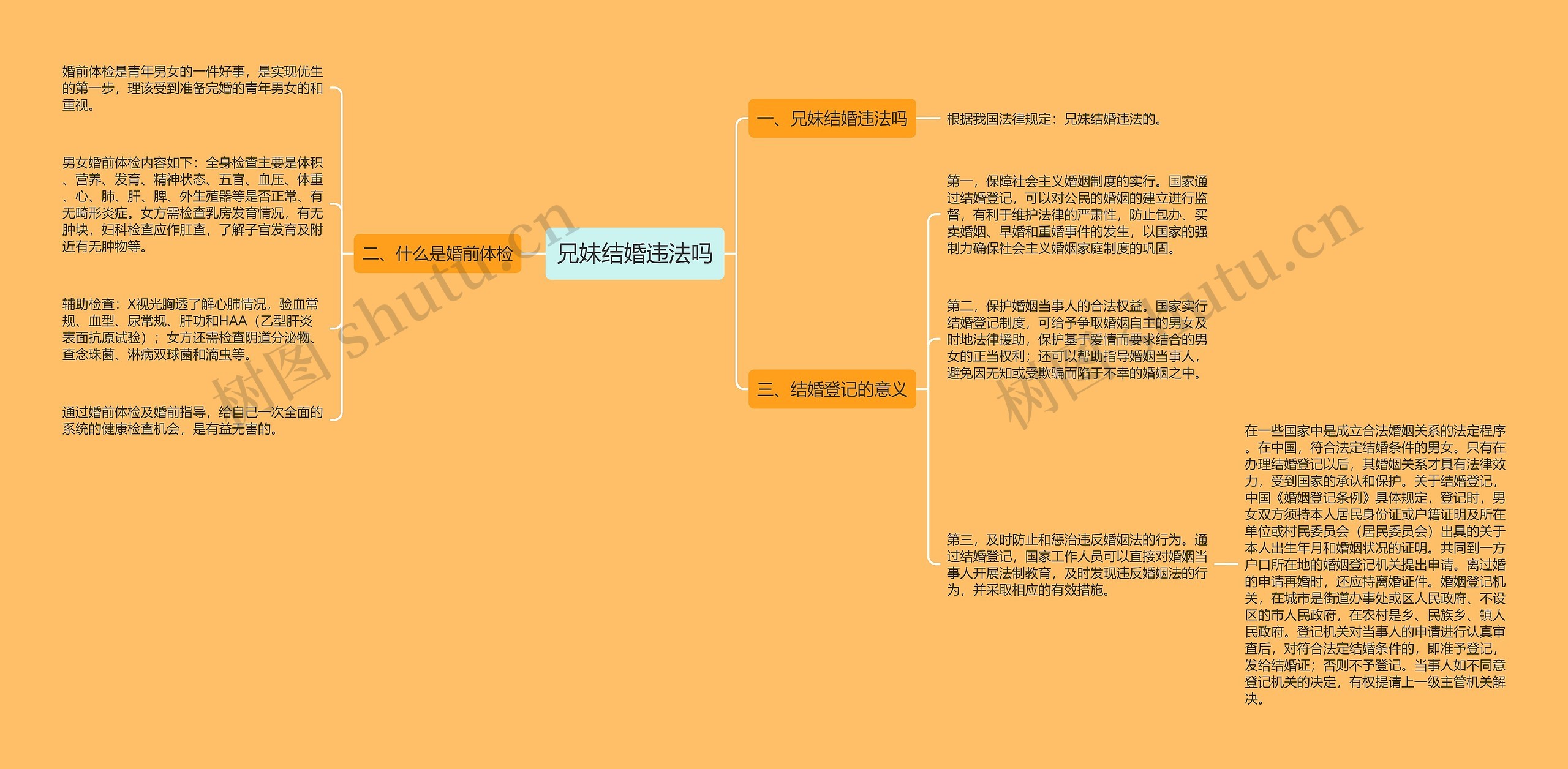 兄妹结婚违法吗思维导图