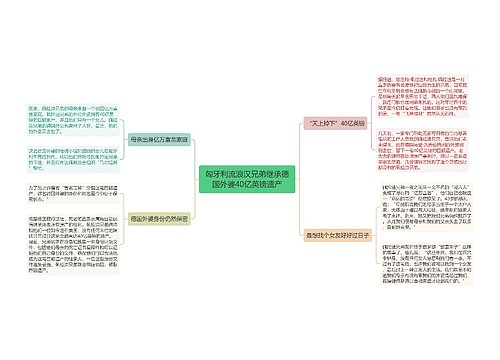 匈牙利流浪汉兄弟继承德国外婆40亿英镑遗产