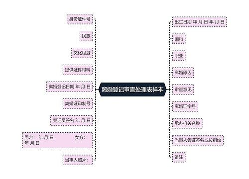 离婚登记审查处理表样本