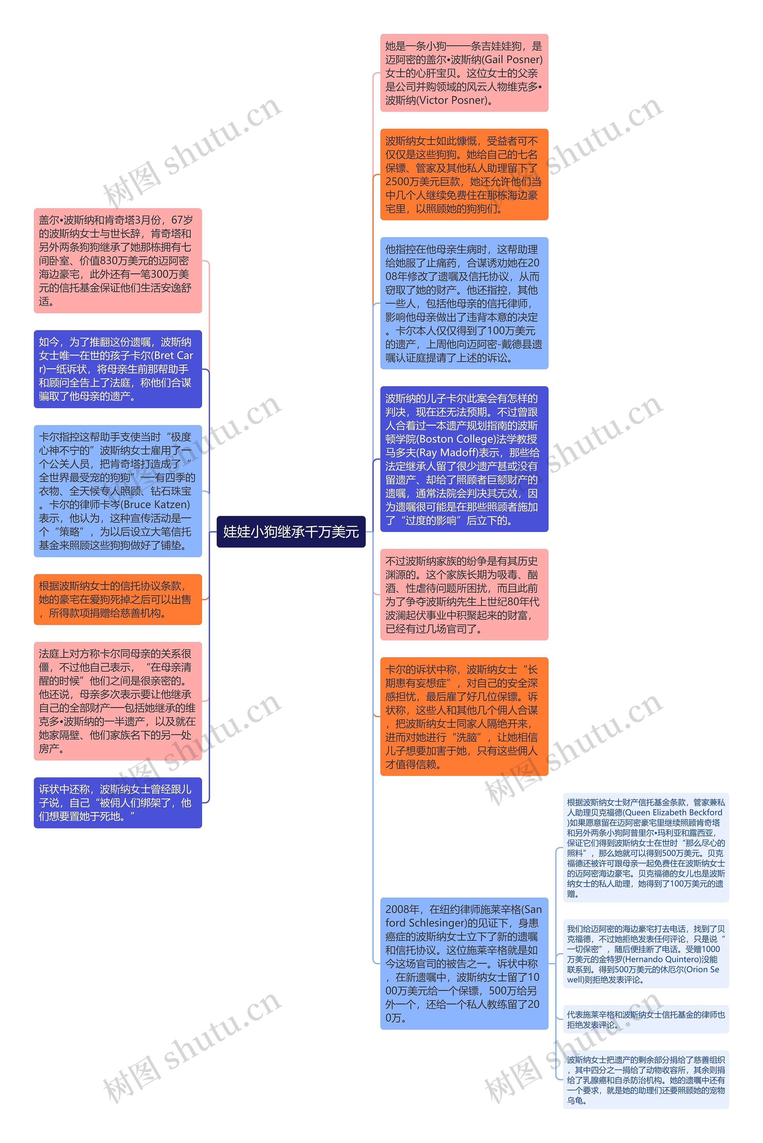 娃娃小狗继承千万美元思维导图