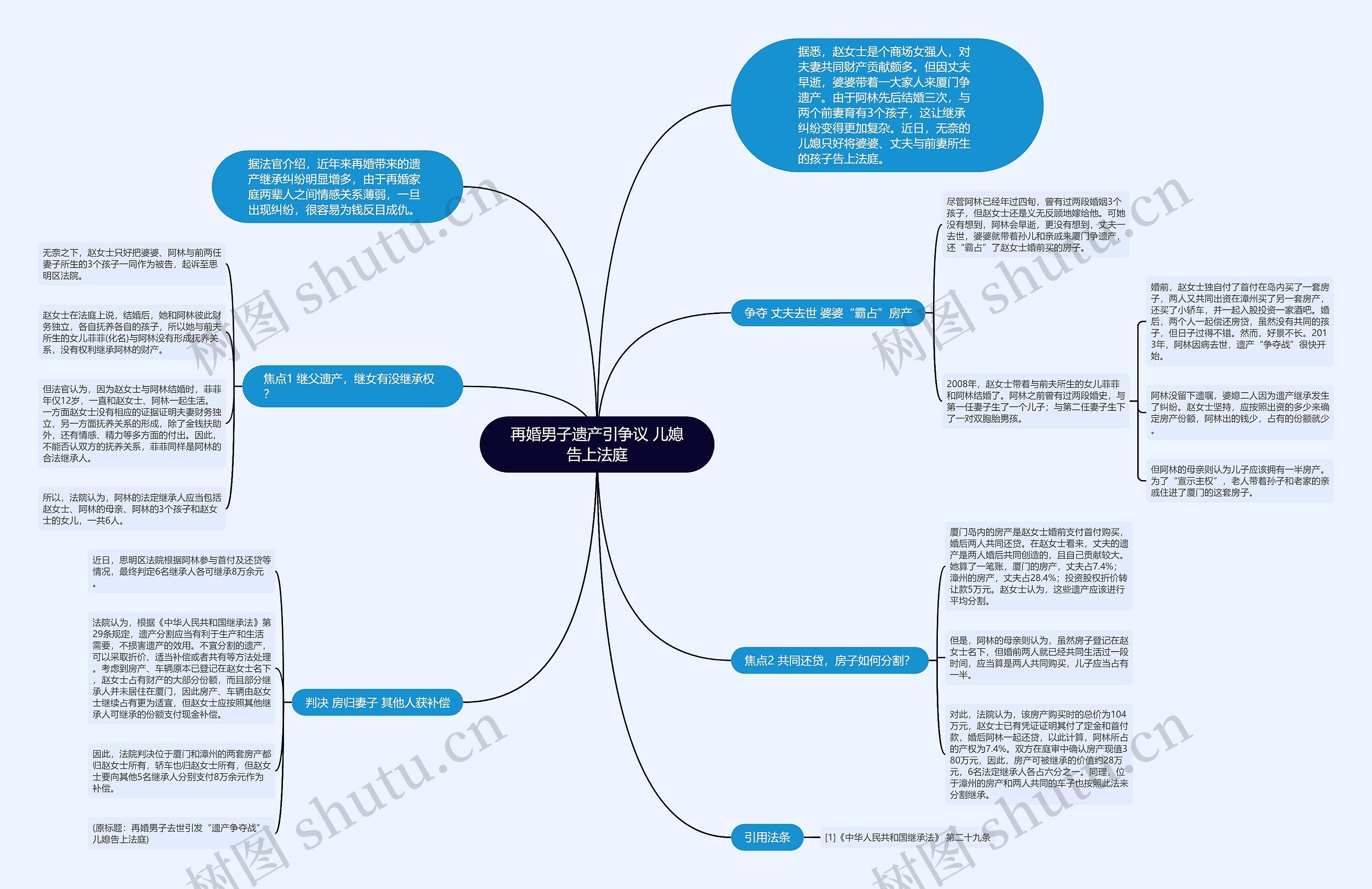 再婚男子遗产引争议 儿媳告上法庭思维导图