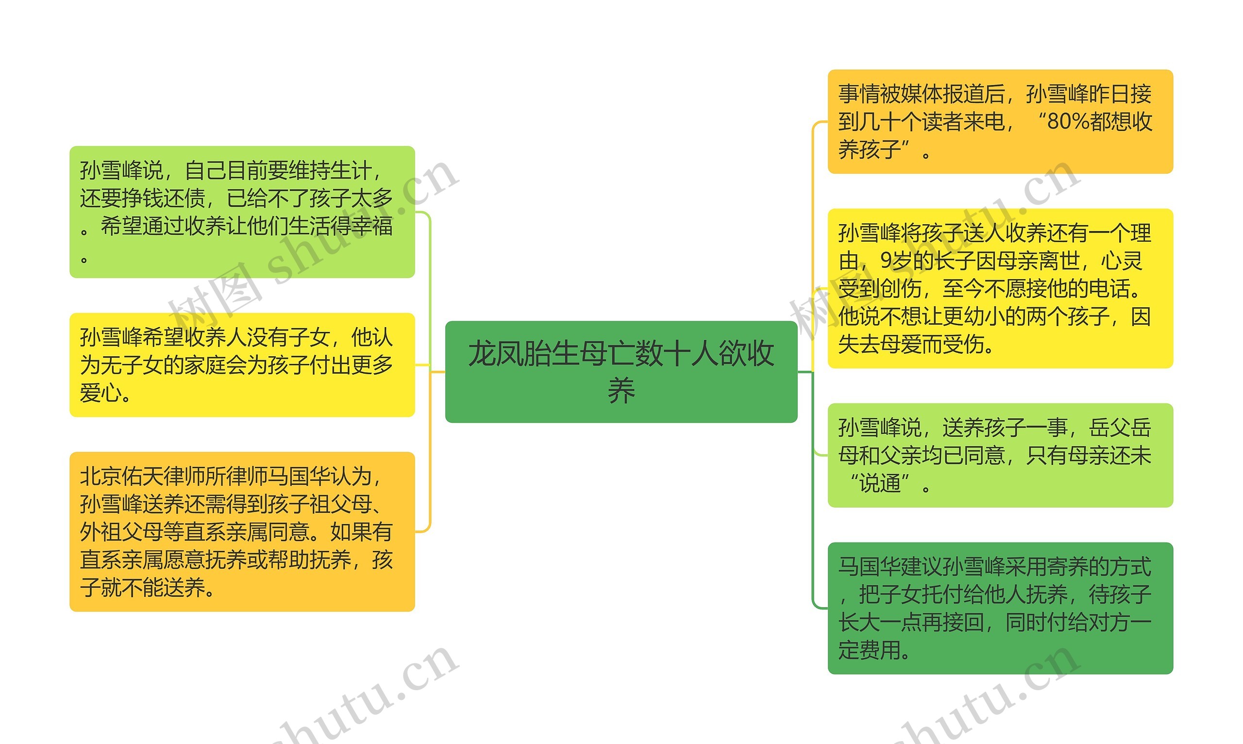 龙凤胎生母亡数十人欲收养思维导图