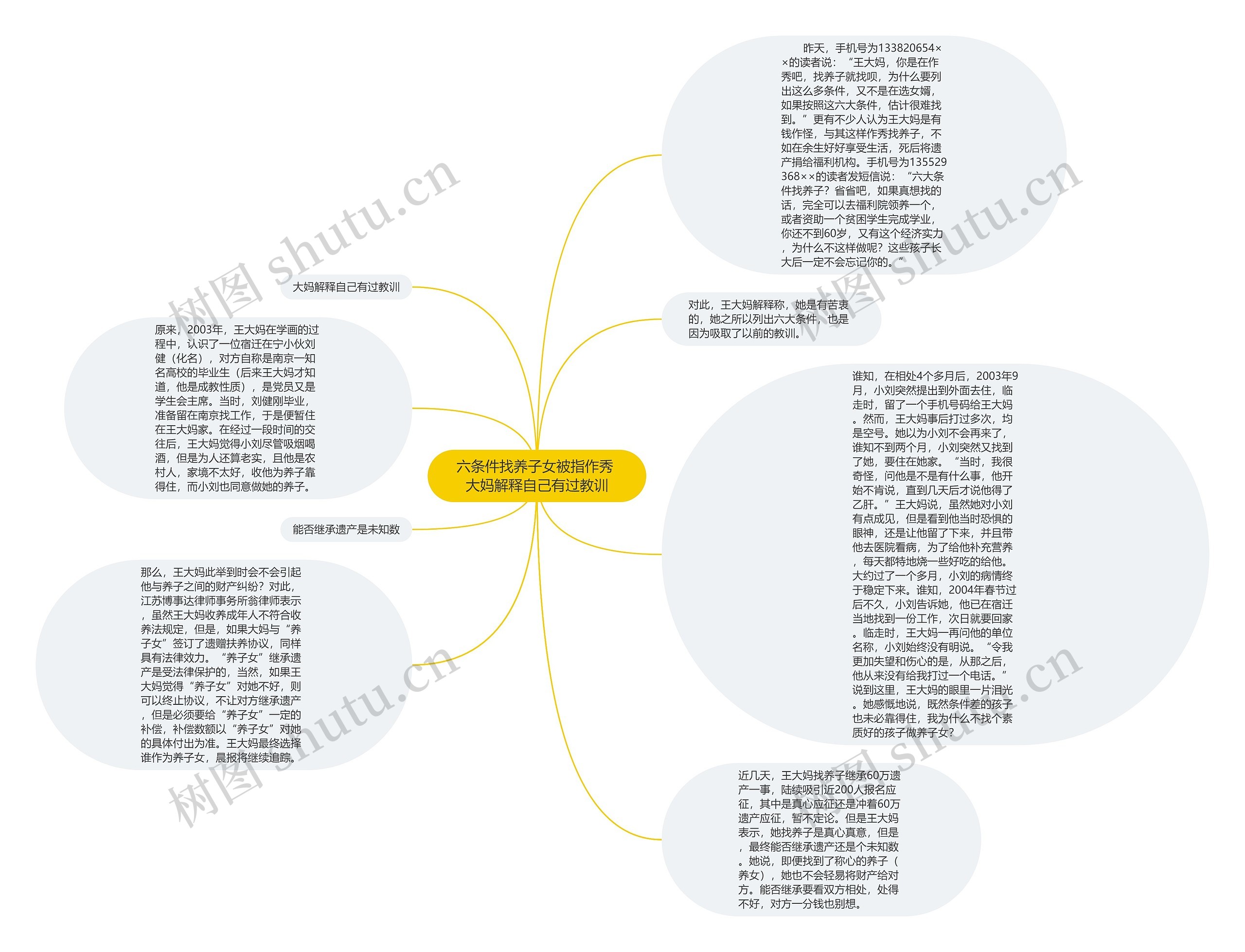 六条件找养子女被指作秀 大妈解释自己有过教训思维导图