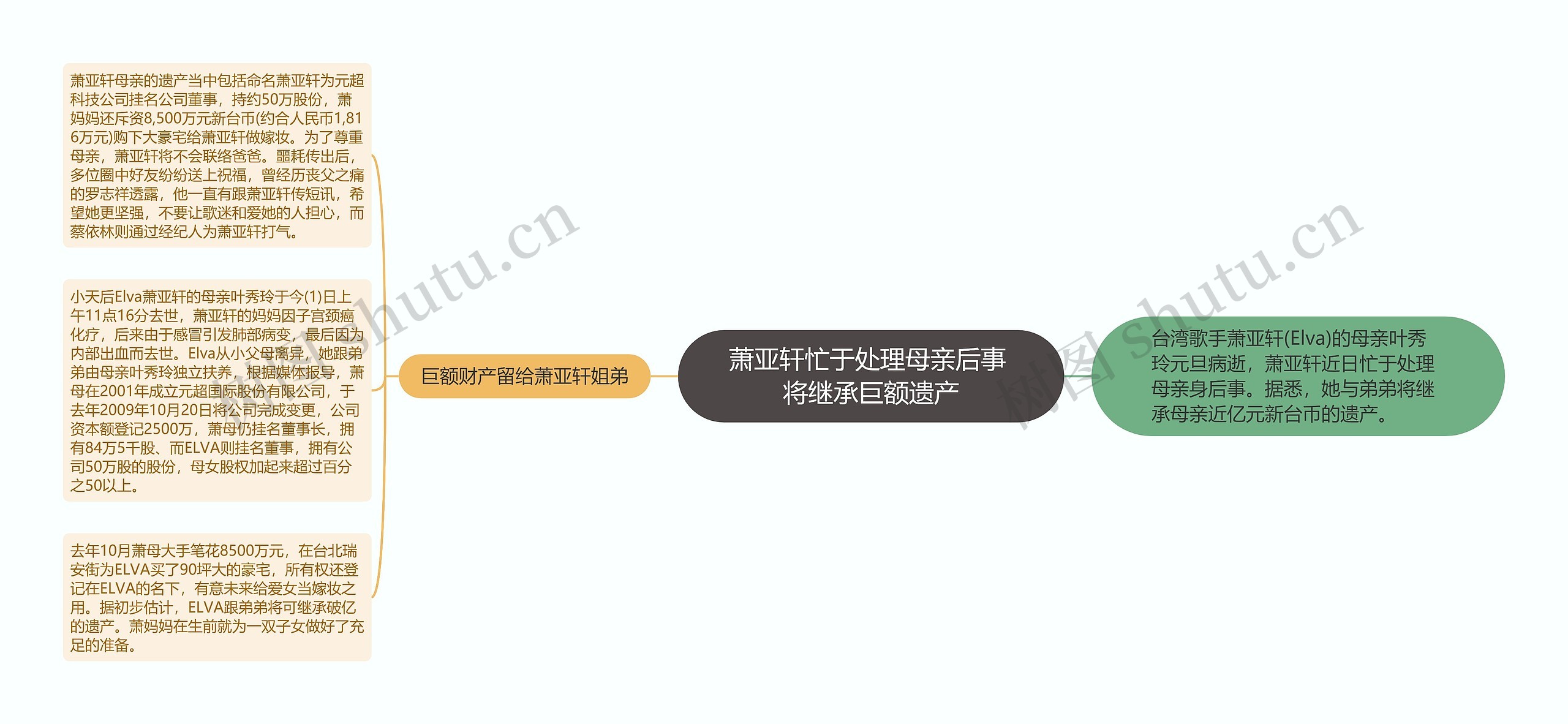 萧亚轩忙于处理母亲后事 将继承巨额遗产思维导图