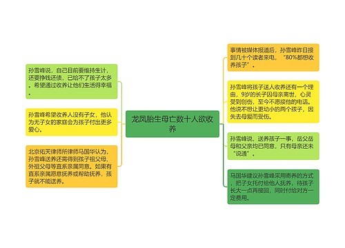 龙凤胎生母亡数十人欲收养