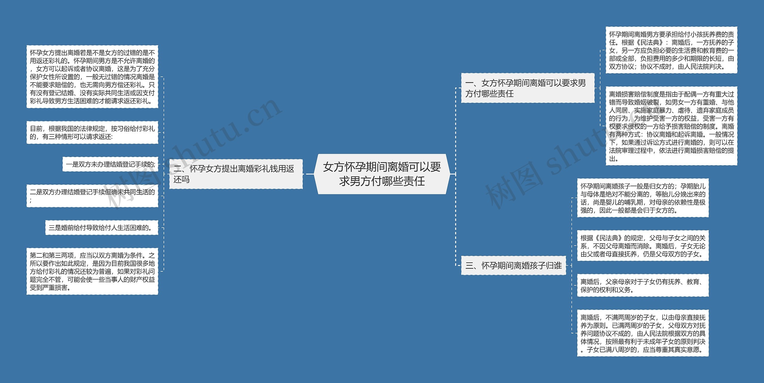 女方怀孕期间离婚可以要求男方付哪些责任思维导图