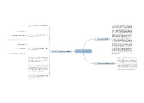 怎么收养外国孩子