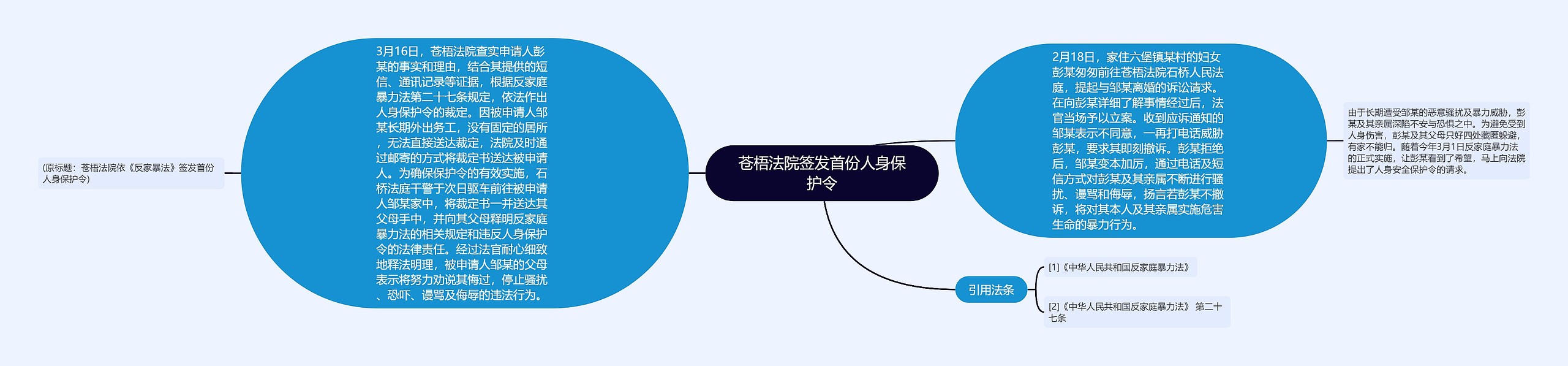 苍梧法院签发首份人身保护令思维导图