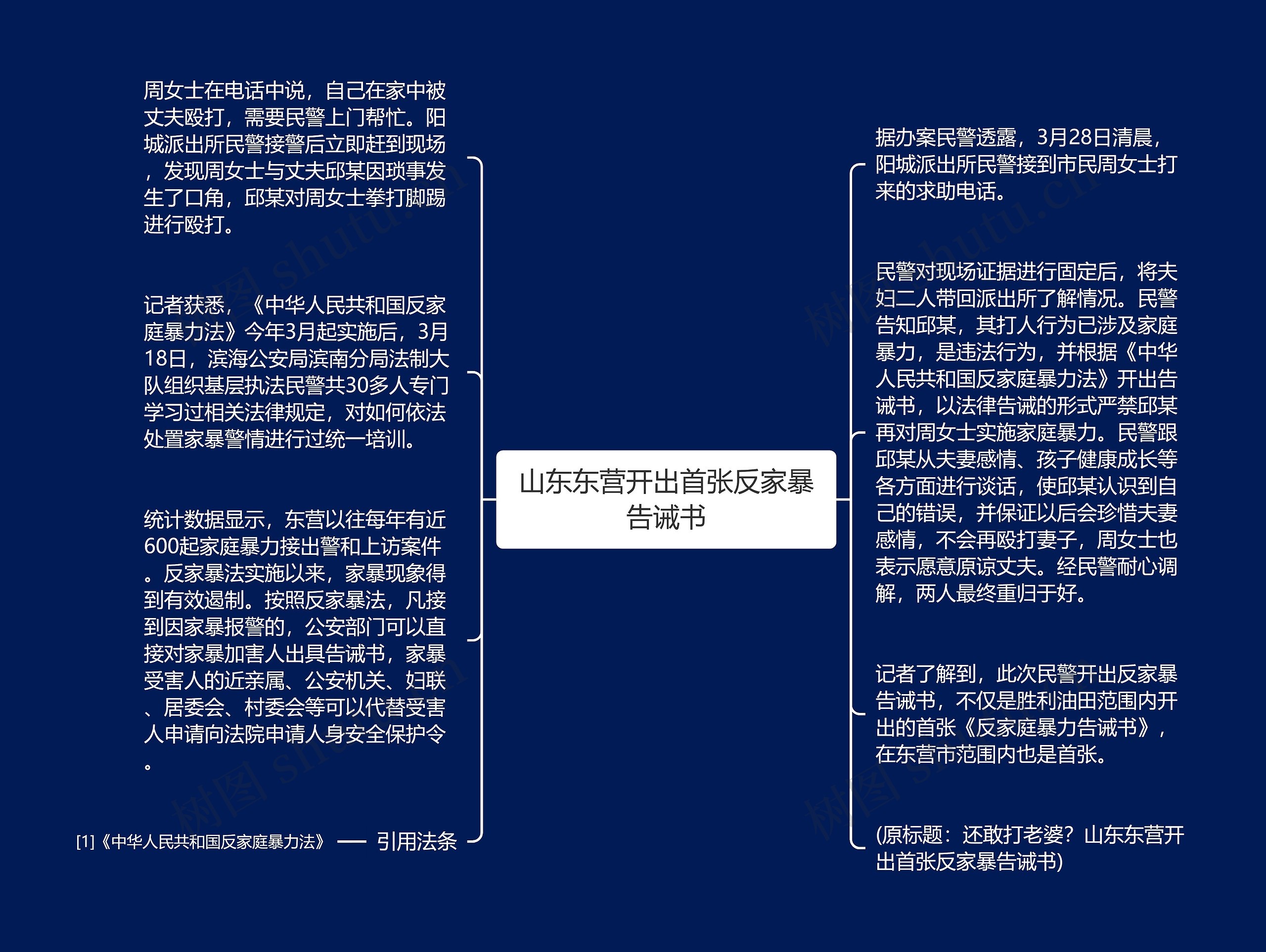 山东东营开出首张反家暴告诫书思维导图
