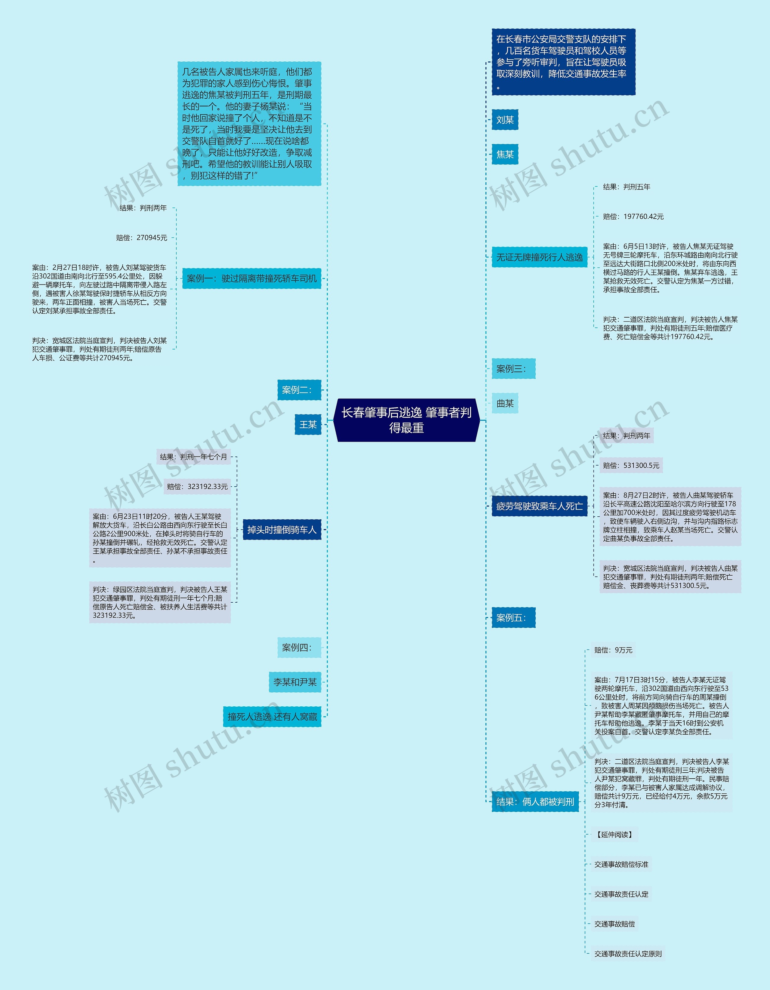 长春肇事后逃逸 肇事者判得最重思维导图