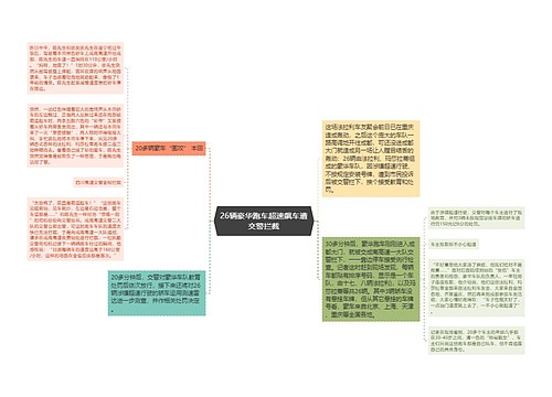 26辆豪华跑车超速飙车遭交警拦截