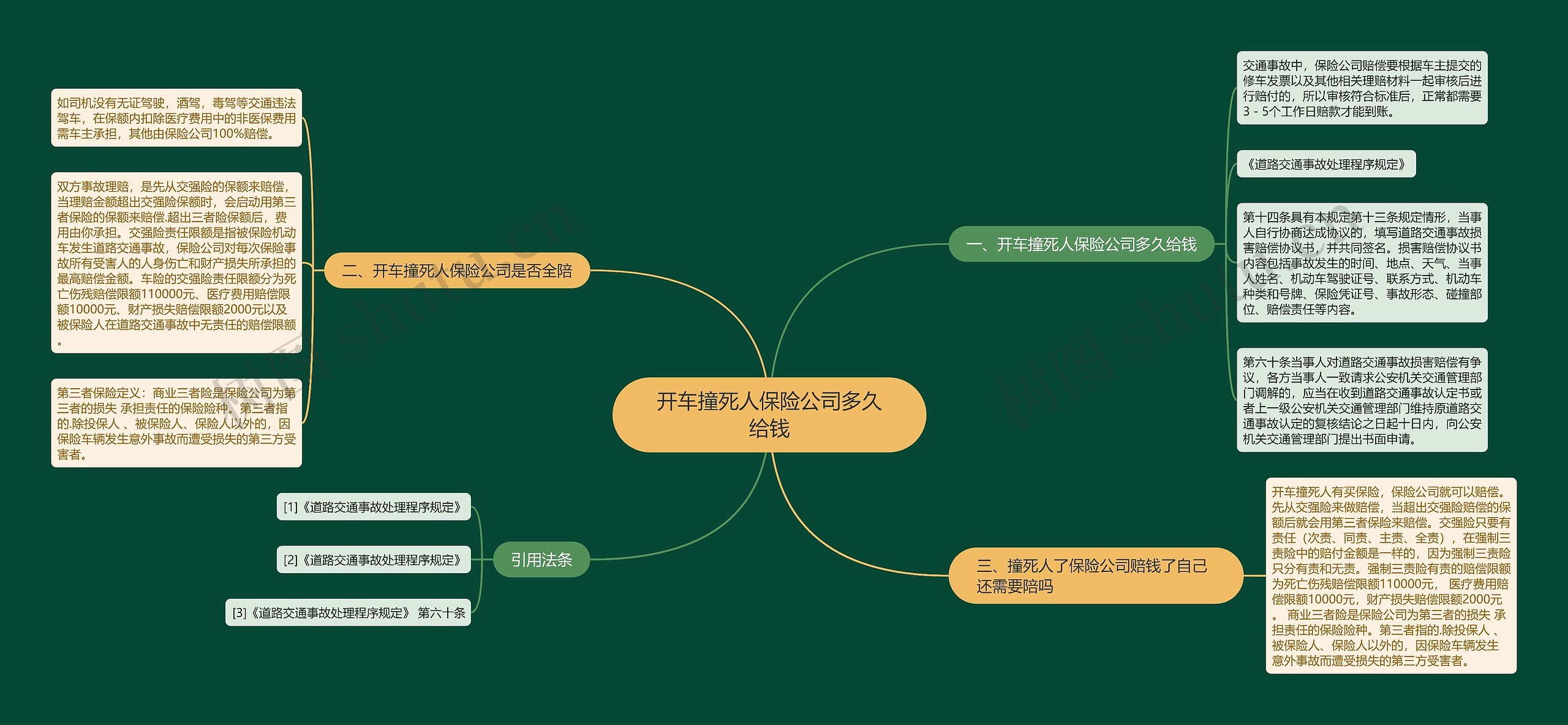 开车撞死人保险公司多久给钱思维导图