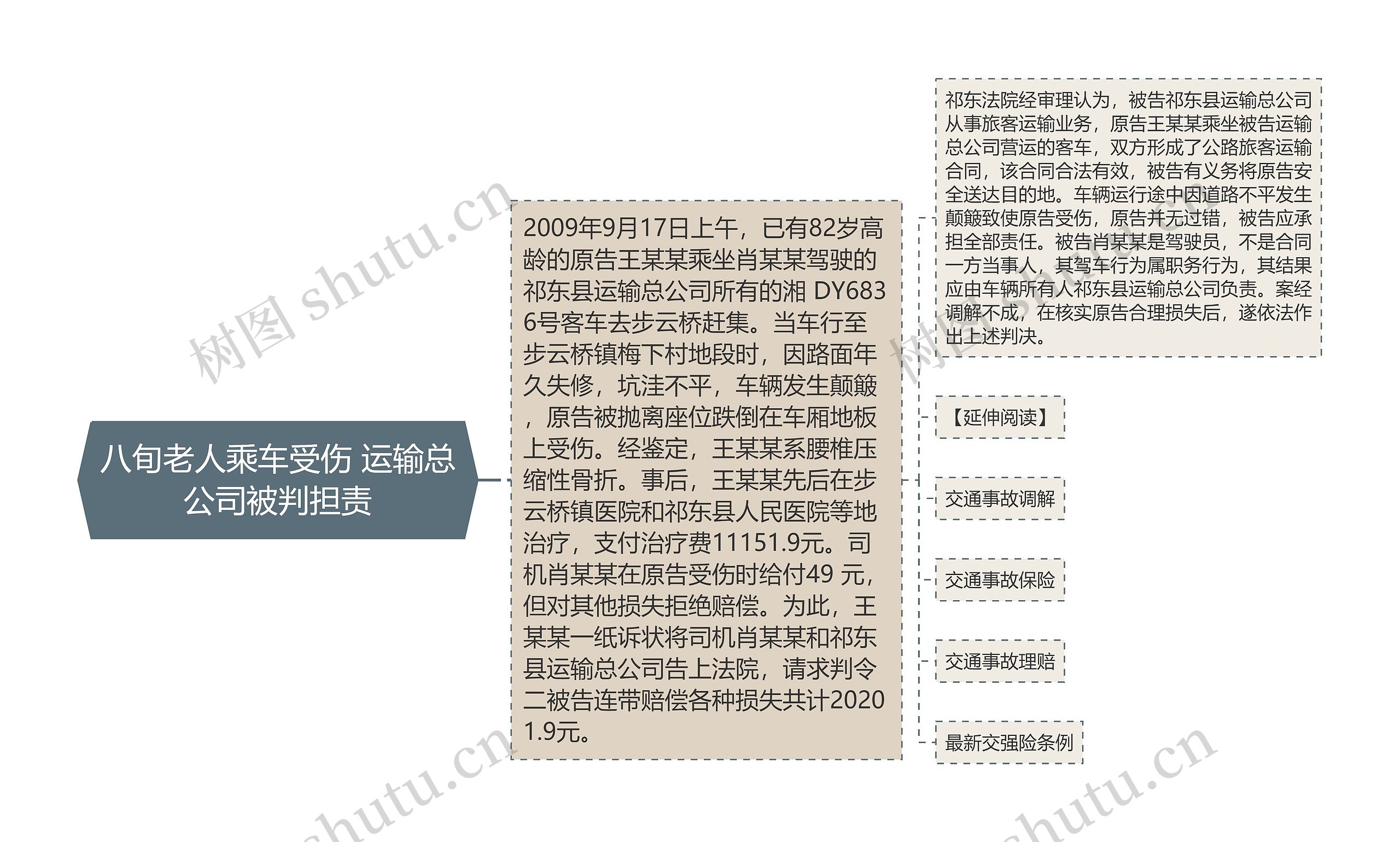 八旬老人乘车受伤 运输总公司被判担责思维导图