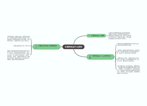 交通滞纳金什么意思