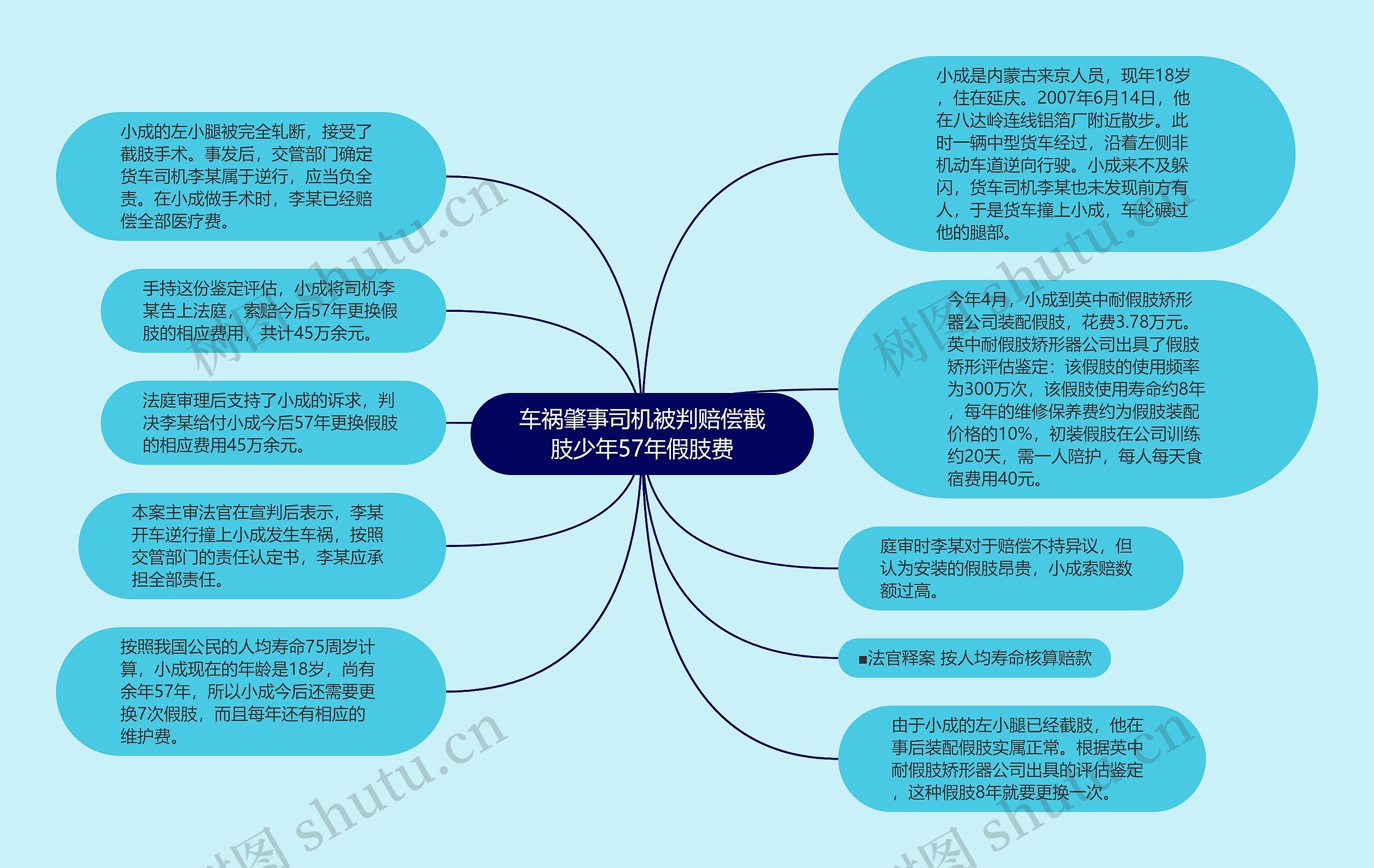 车祸肇事司机被判赔偿截肢少年57年假肢费思维导图