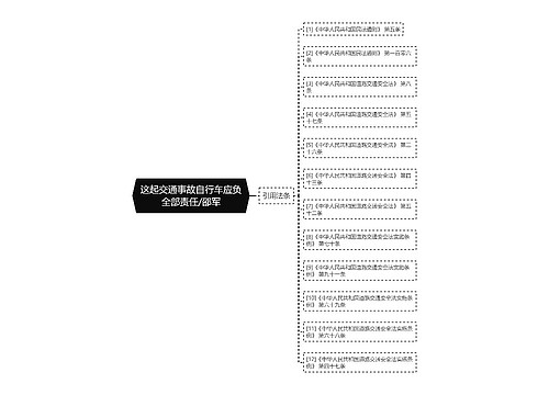 这起交通事故自行车应负全部责任/邵军