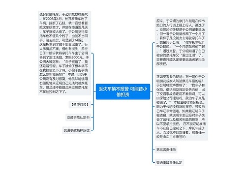 丢失车辆不报警 可能替小偷担责