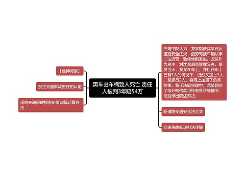 黑车出车祸致人死亡 责任人被判3年赔54万