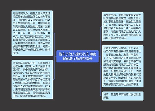 借车予他人撞死小孩 海南省司法厅负连带责任