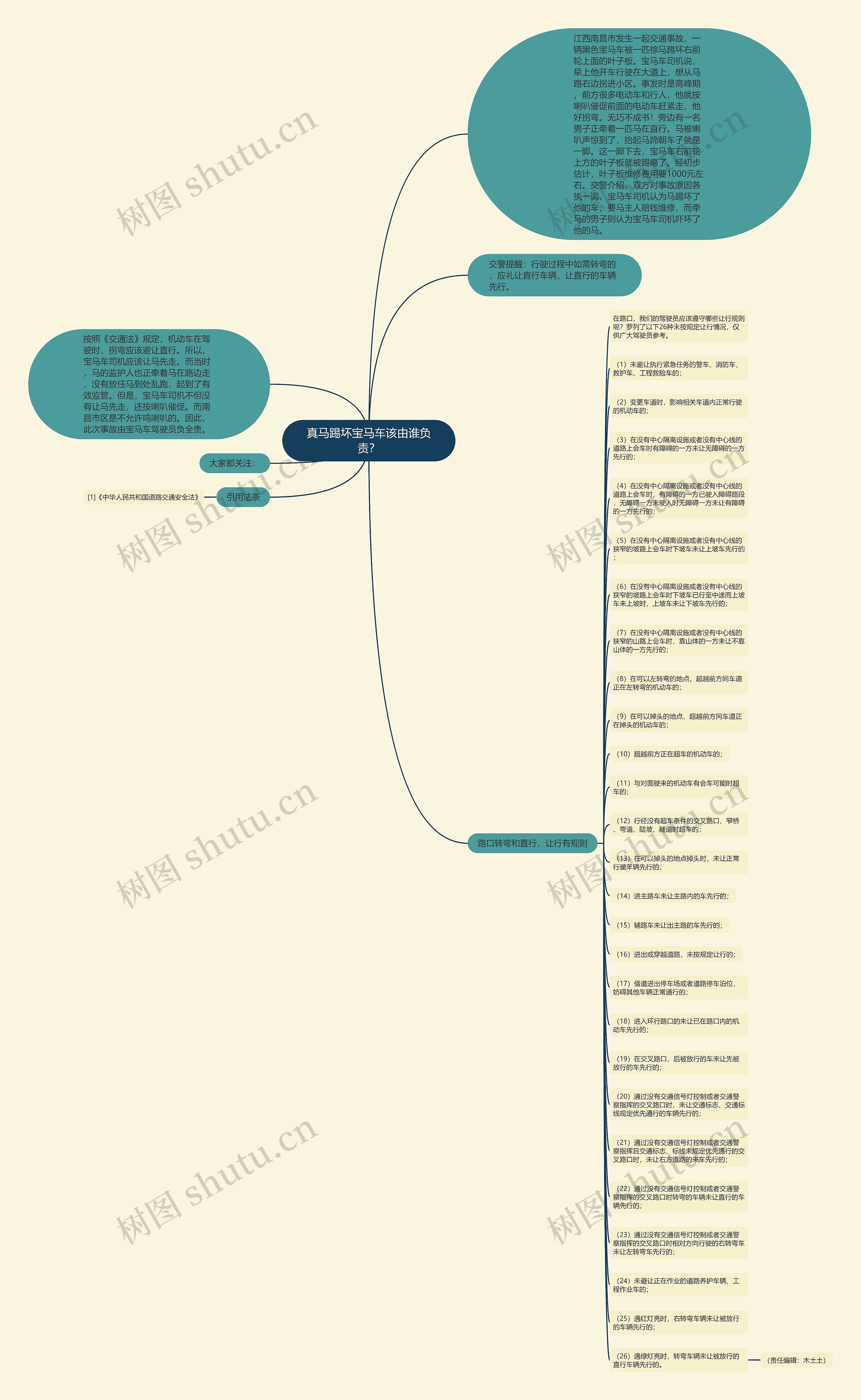 真马踢坏宝马车该由谁负责？思维导图