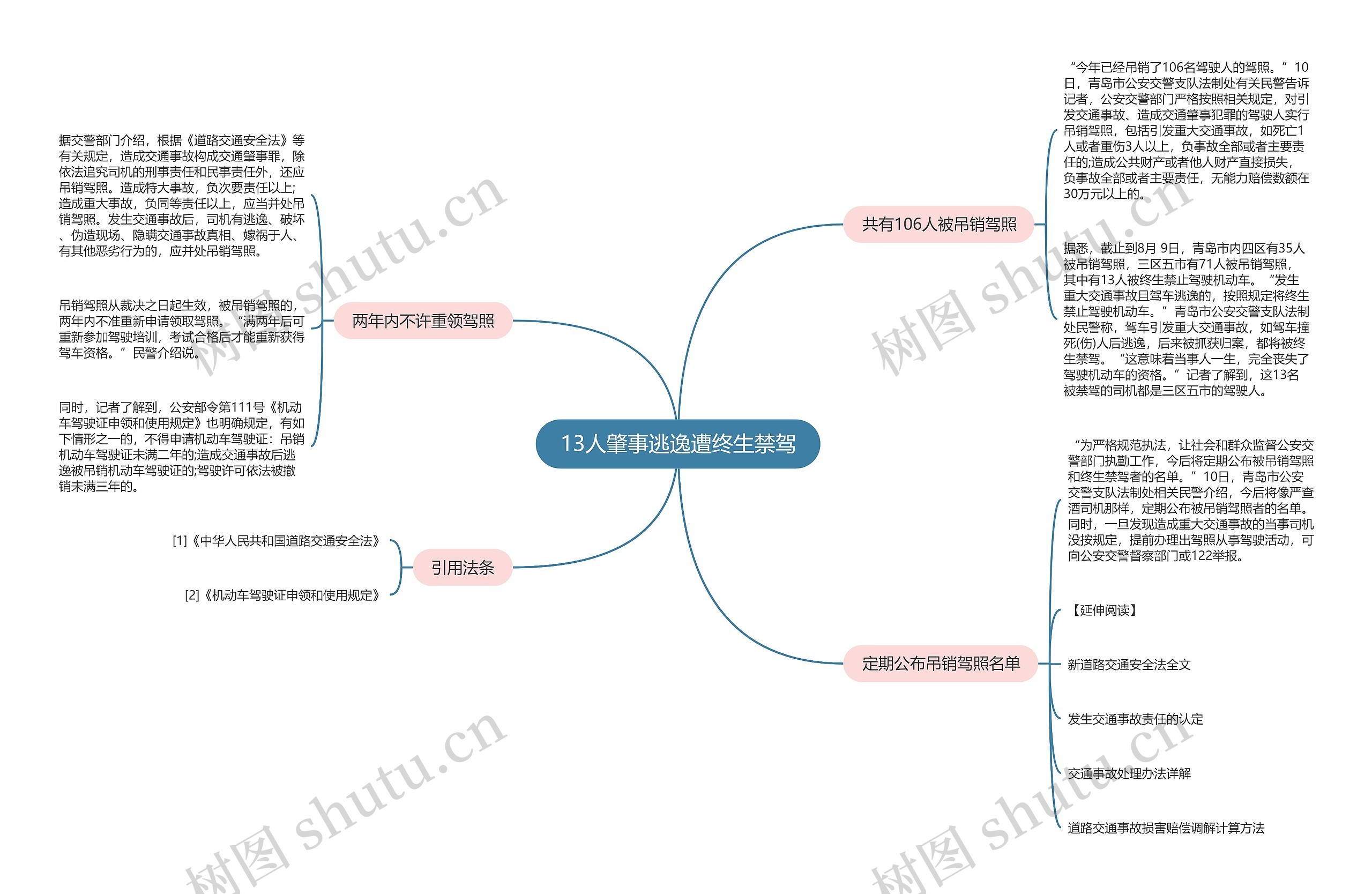 13人肇事逃逸遭终生禁驾思维导图