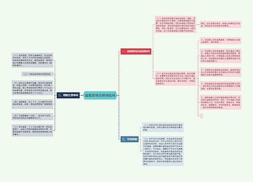 追尾现场没报保险吗