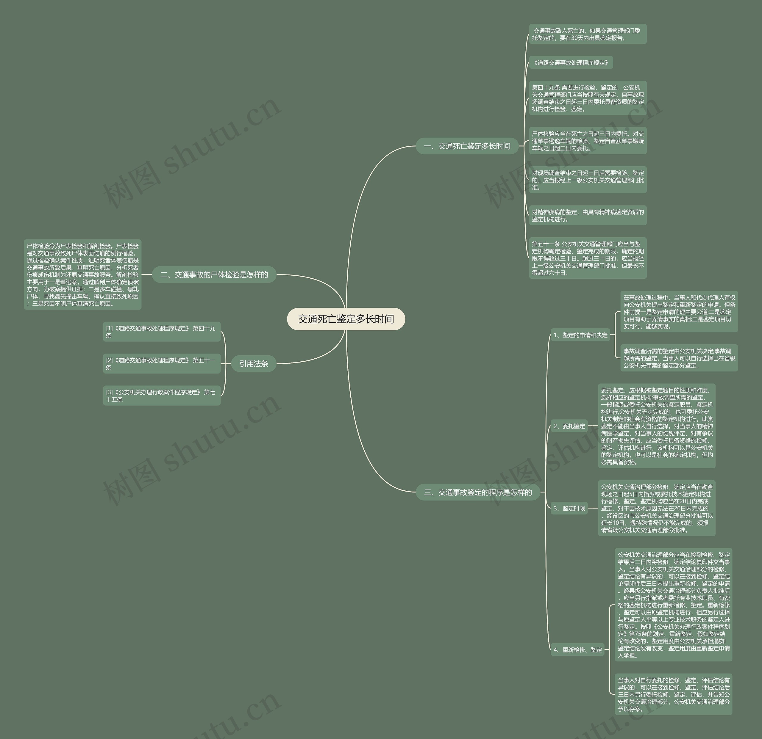交通死亡鉴定多长时间思维导图