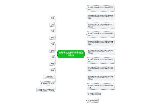 交通事故皮肤损伤十级伤残划分