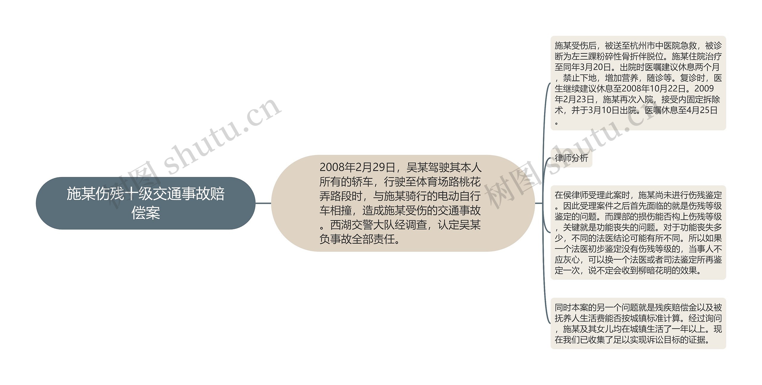 施某伤残十级交通事故赔偿案思维导图