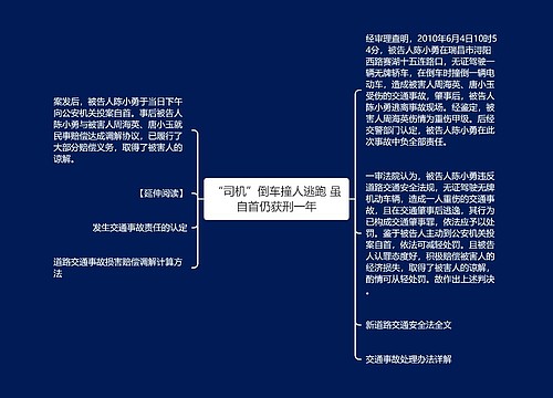 “司机”倒车撞人逃跑 虽自首仍获刑一年