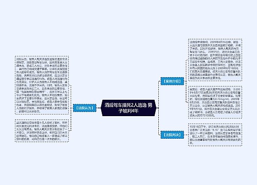 酒后驾车撞死2人逃逸 男子被判4年