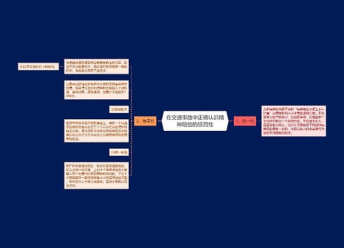 在交通事故中正确认识精神赔偿的惩罚性