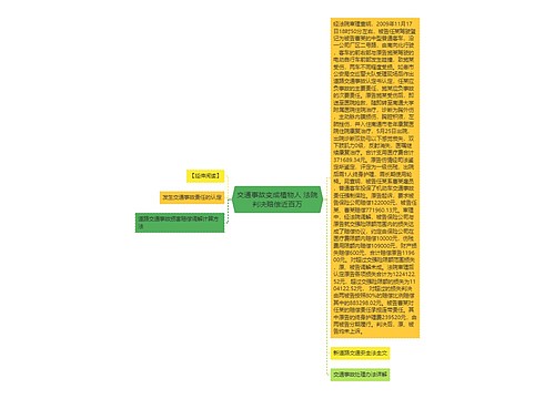 交通事故变成植物人 法院判决赔偿近百万