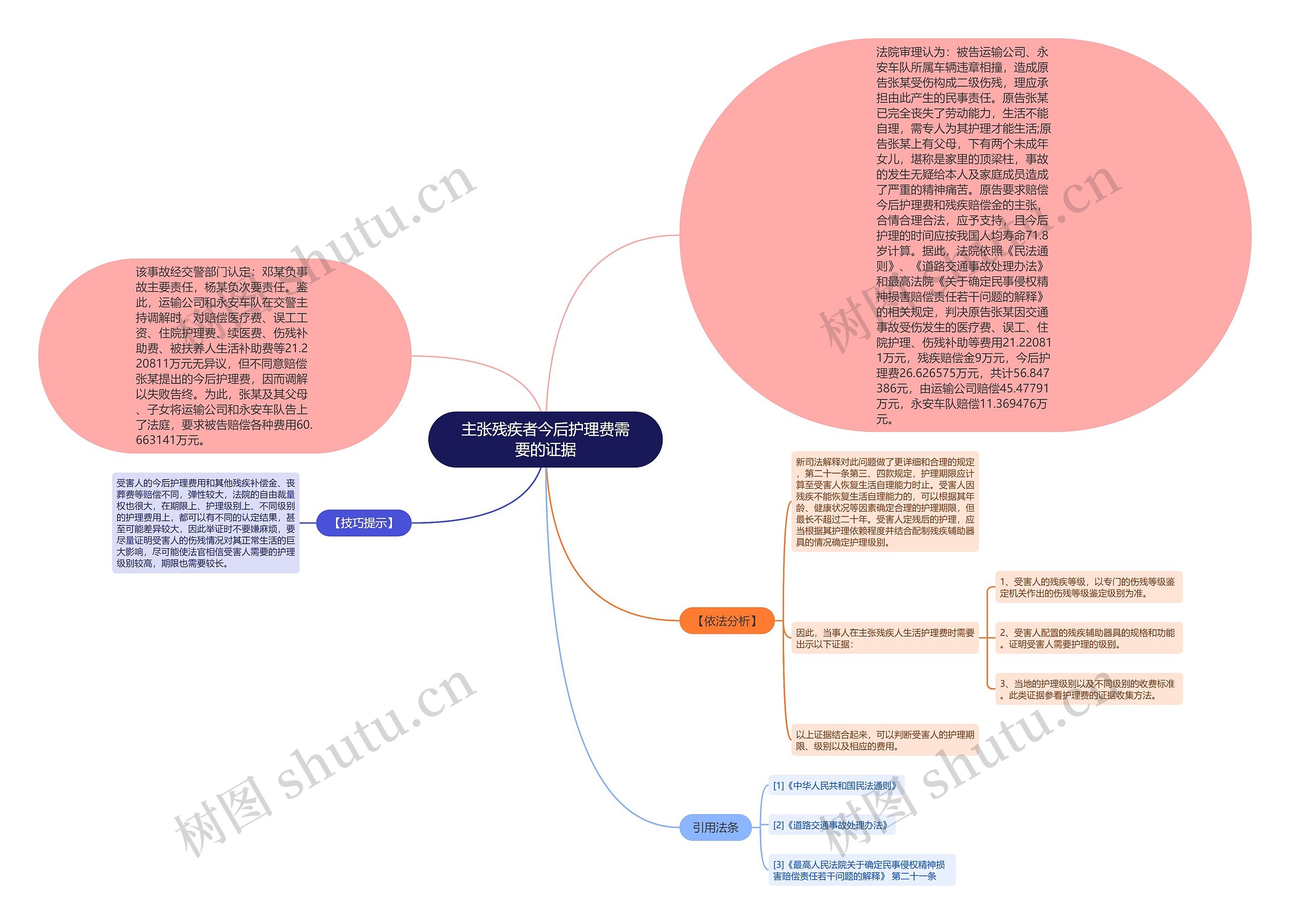 主张残疾者今后护理费需要的证据思维导图