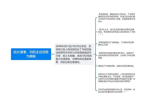 院长肇事，司机主动顶罪为哪般