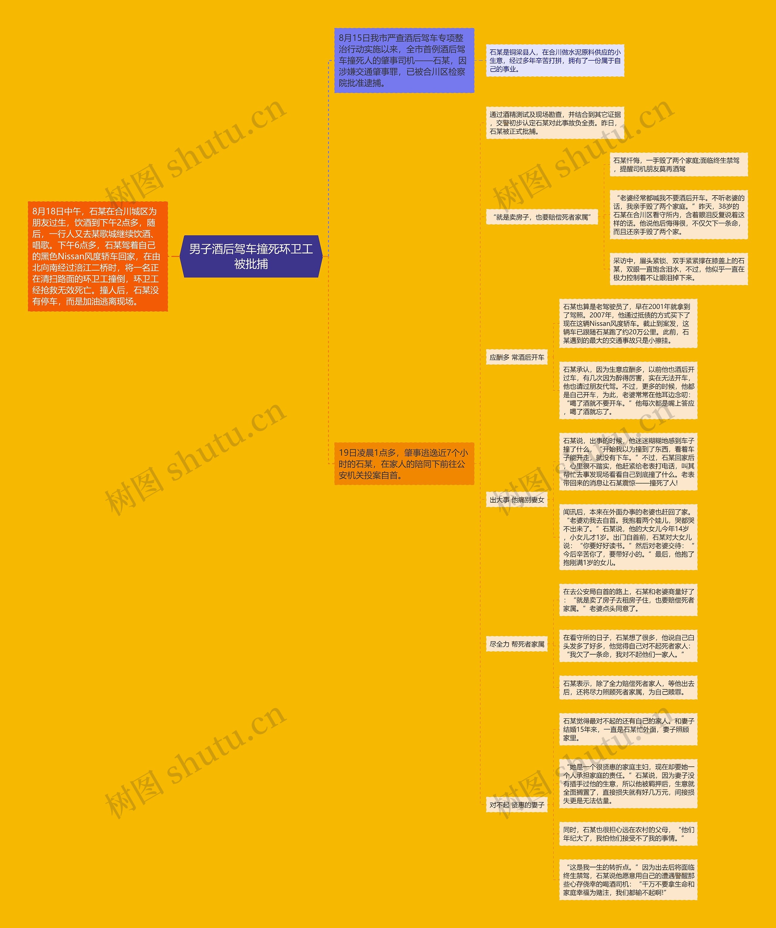 男子酒后驾车撞死环卫工被批捕思维导图