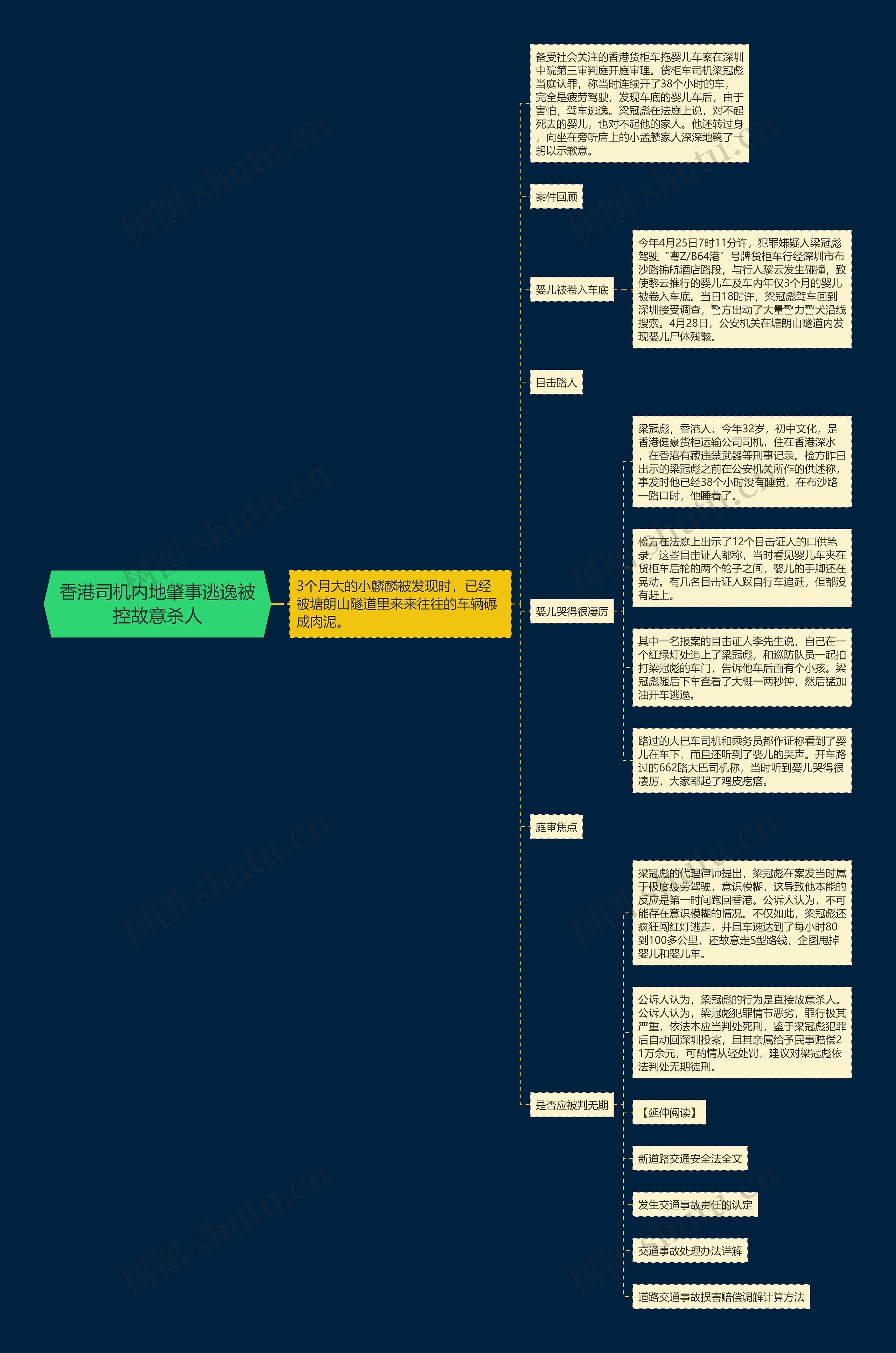 香港司机内地肇事逃逸被控故意杀人思维导图